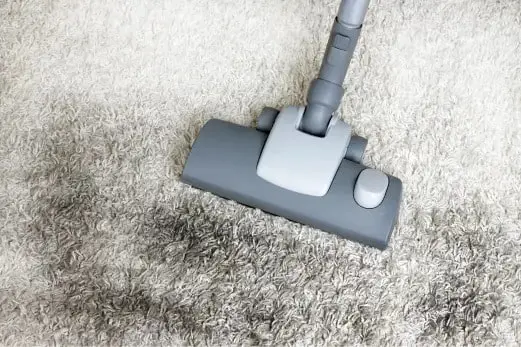 Carpet Cleaning in Pascoe Vale